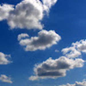 Meet your Posher, Lindsay